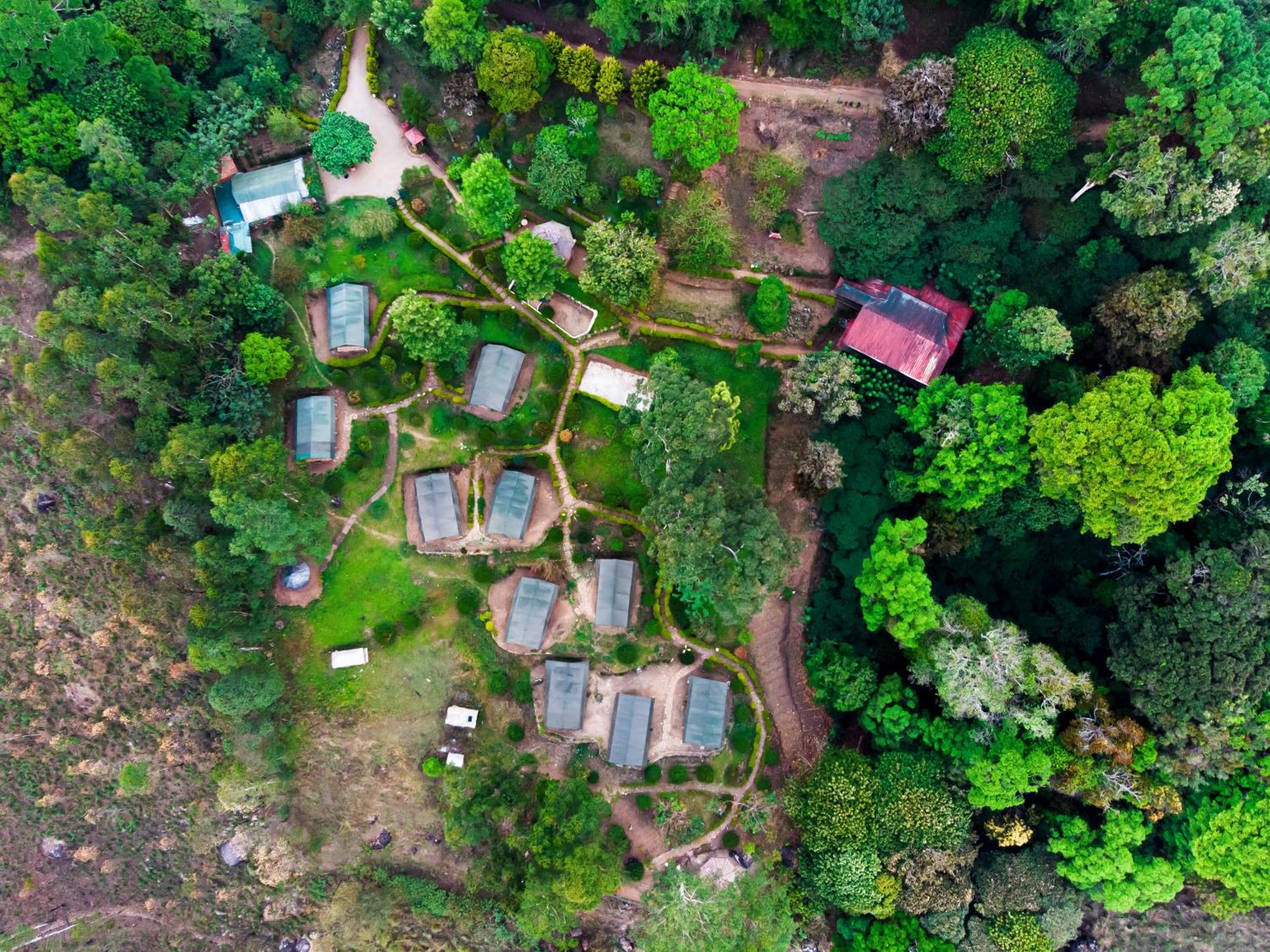8 Smart Resorts Near Mattupetty Dam Worth Booking