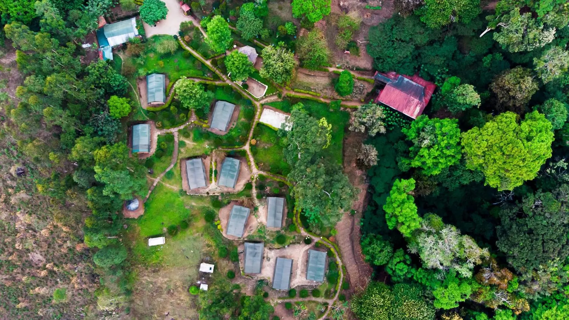 8 Smart Resorts Near Mattupetty Dam Worth Booking