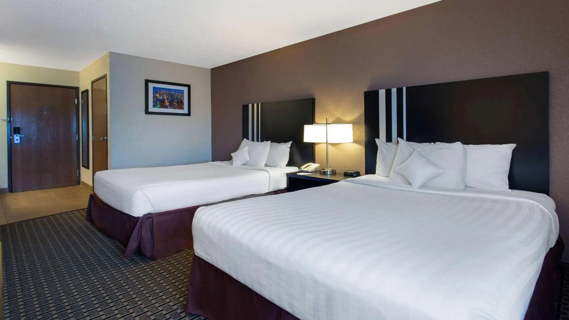 5 Smart Design Hotels Near Billy Graham Center Museum Worth Booking