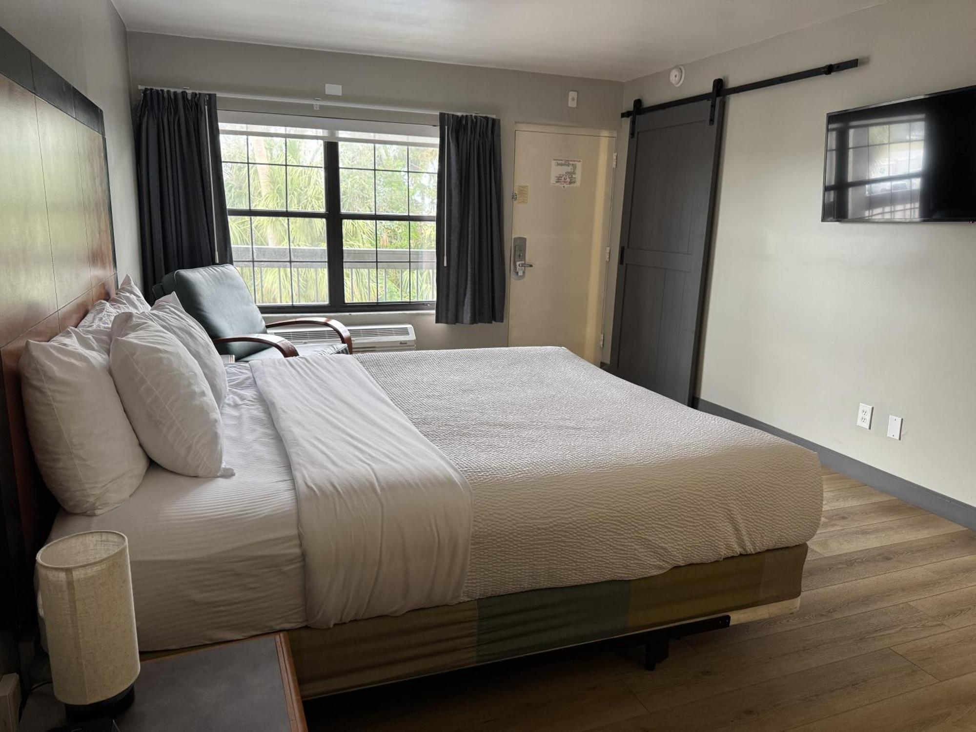 5 Exceptional Design Hotels in Westshore That Deliver