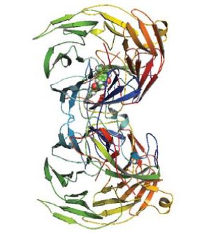 Illustration of methylamine dehydrogenase (MADH) suspended in water.