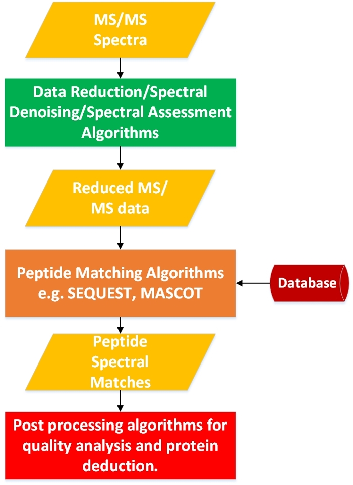 <strong>Charting a new course.</strong> A typical pipeline for large-scale protein analysis. A research team from Western Michigan University has found a way to speed this process up 100 times. Courtesy Fahad Saeed.