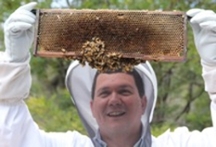 <strong>Creating a buzz. </strong> Paulo de Souza leads efforts to equip bees with data collection devices. The lessons learned will teach scientists what is driving colony collapse and threatening pollination around the globe. Courtesy @CSIRO <a href='http://creativecommons.org/licenses/by/3.0/legalcode'> (CC BY 3.0) </a>.