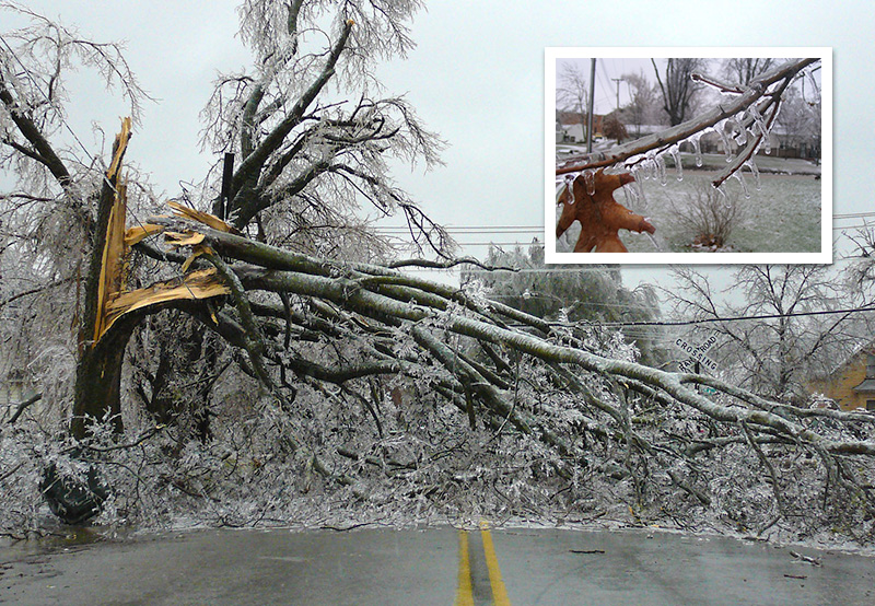 <strong>When it comes to freezing rain</strong>, the difference between downed power lines and chilly rain is only 1 degree Fahrenheit, making it hard for weather models to predict. Courtesy NOAA. 
